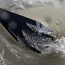 thurso sup paddle detail